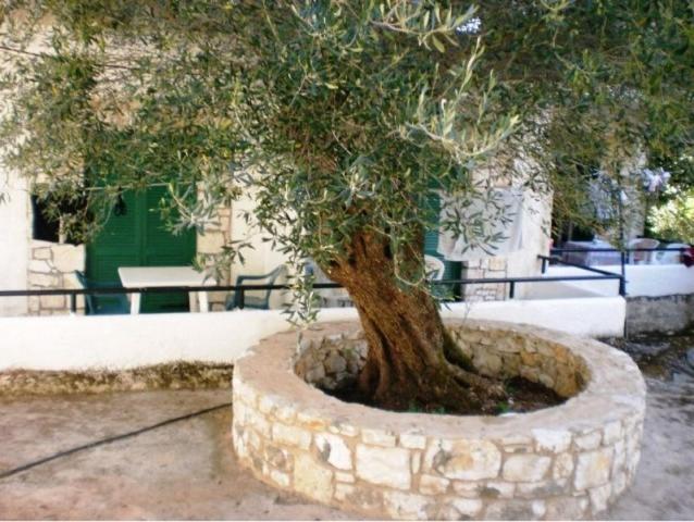 Damaskis Kassiopi Studios מראה חיצוני תמונה